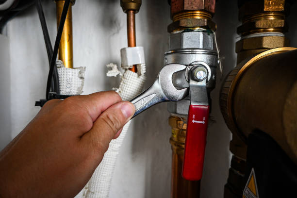 Best Clogged Drain Plumber  in Shinnecock Hills, NY